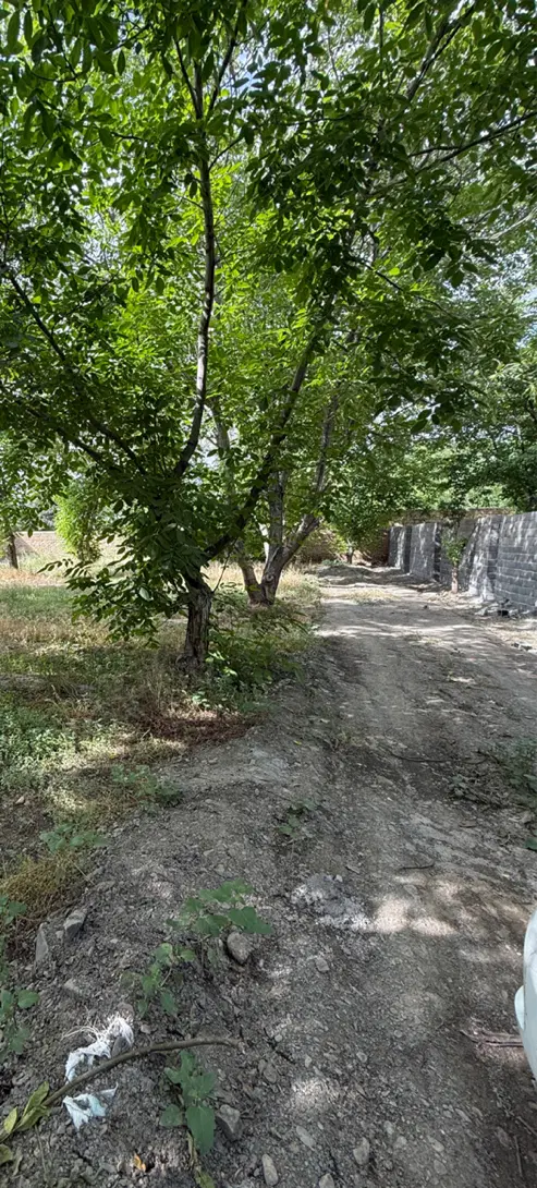 باغ سنددار ابتدای جاده شاندیز