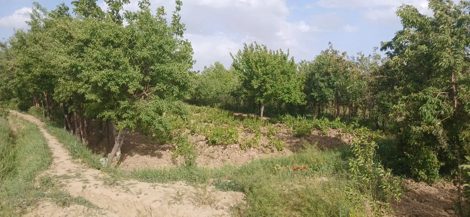 باغ در روستای گنبد