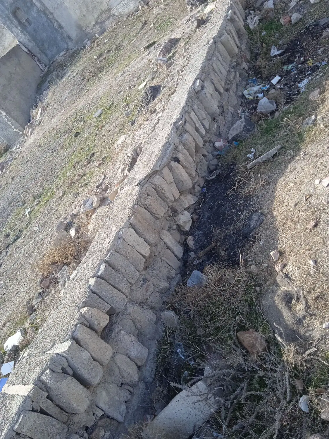 زمین