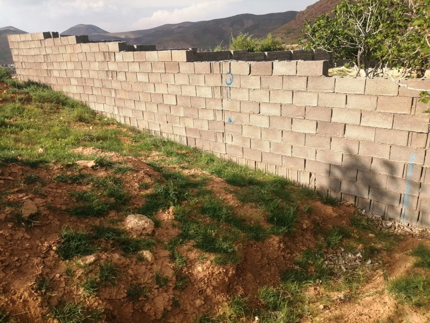 زمین باغشهری قیمت مناسب