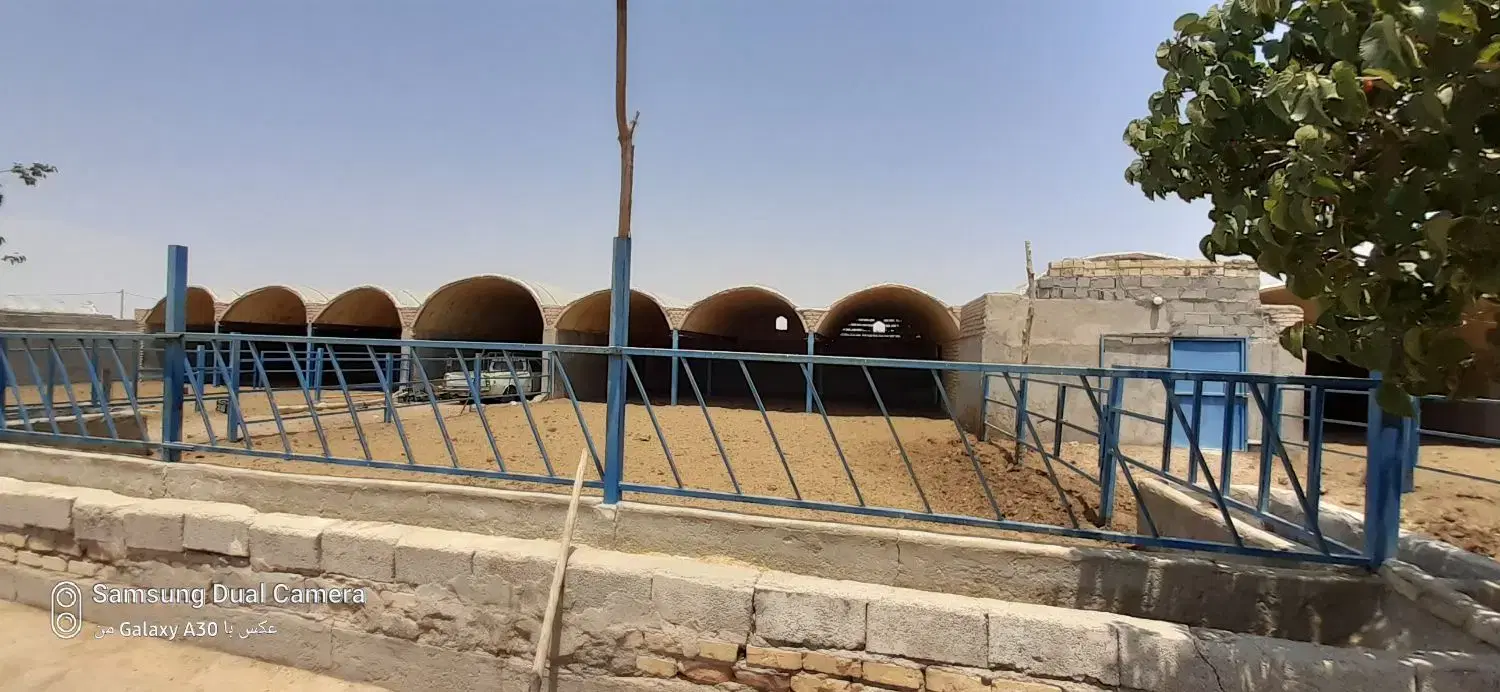 اجاره گاوداری