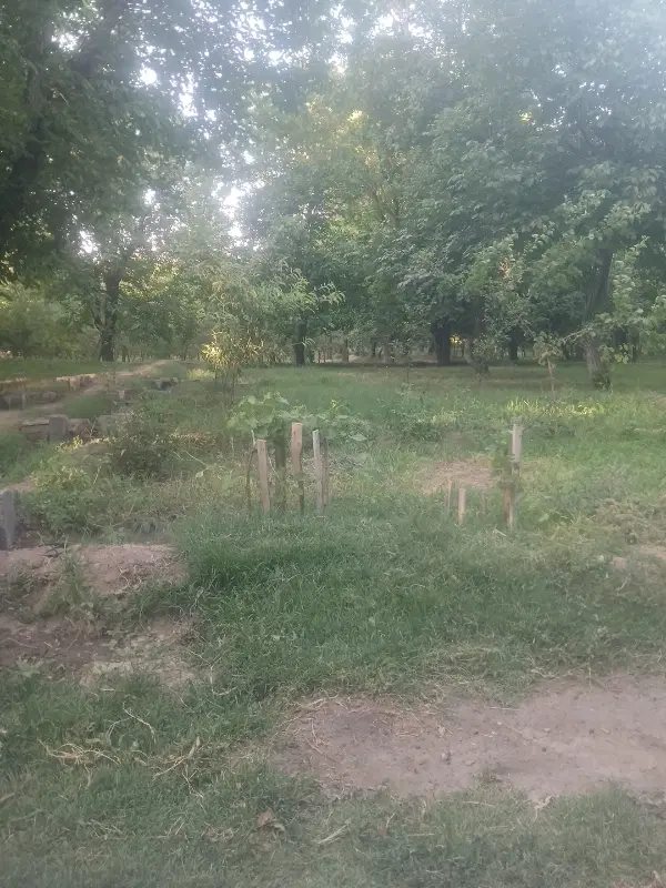 فروش زمین مسکونی