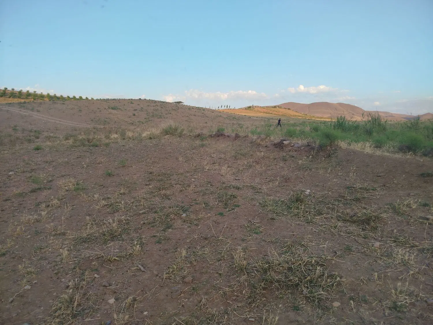 زمین باغی در روستای قره بلاغ با حق ابدهی