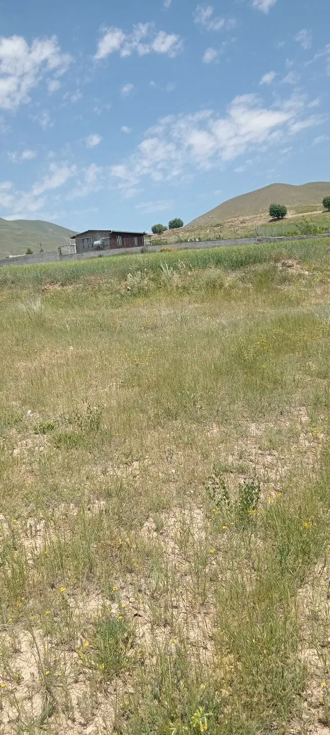 زمین ویلایی