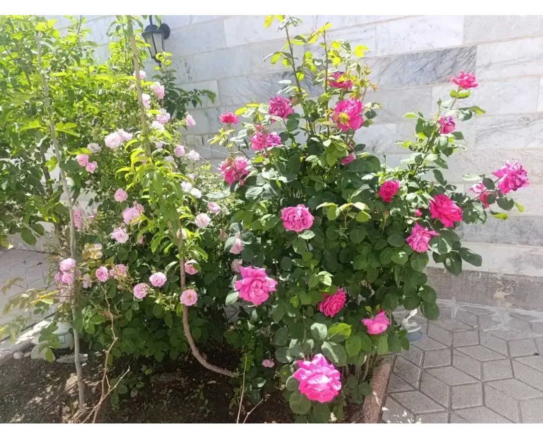 یک باب منزل مسکونی