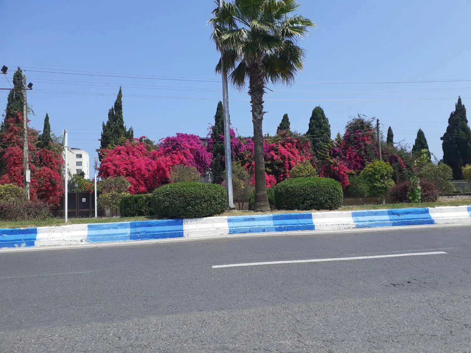 ملک تجاری مسکونی