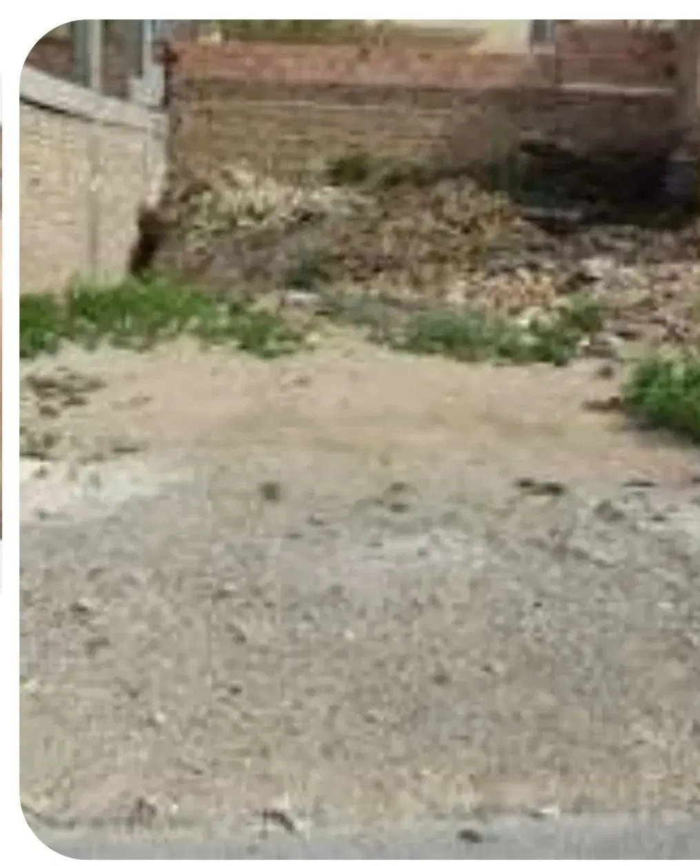 زمین مسکونی شهرک سعدی شهرک امام حسن