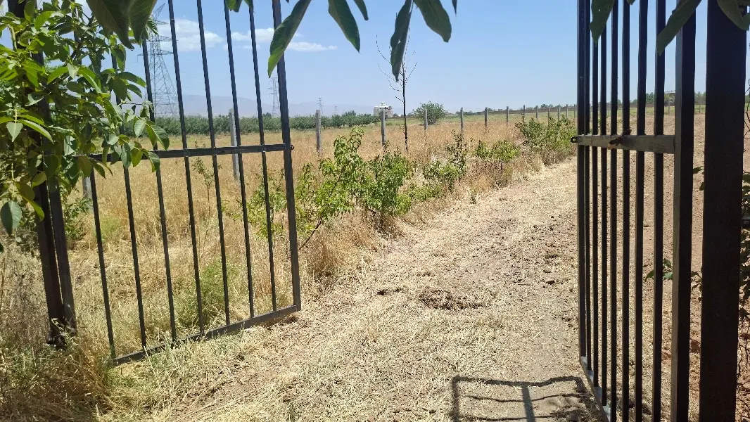 حاشیه جاده بوژان