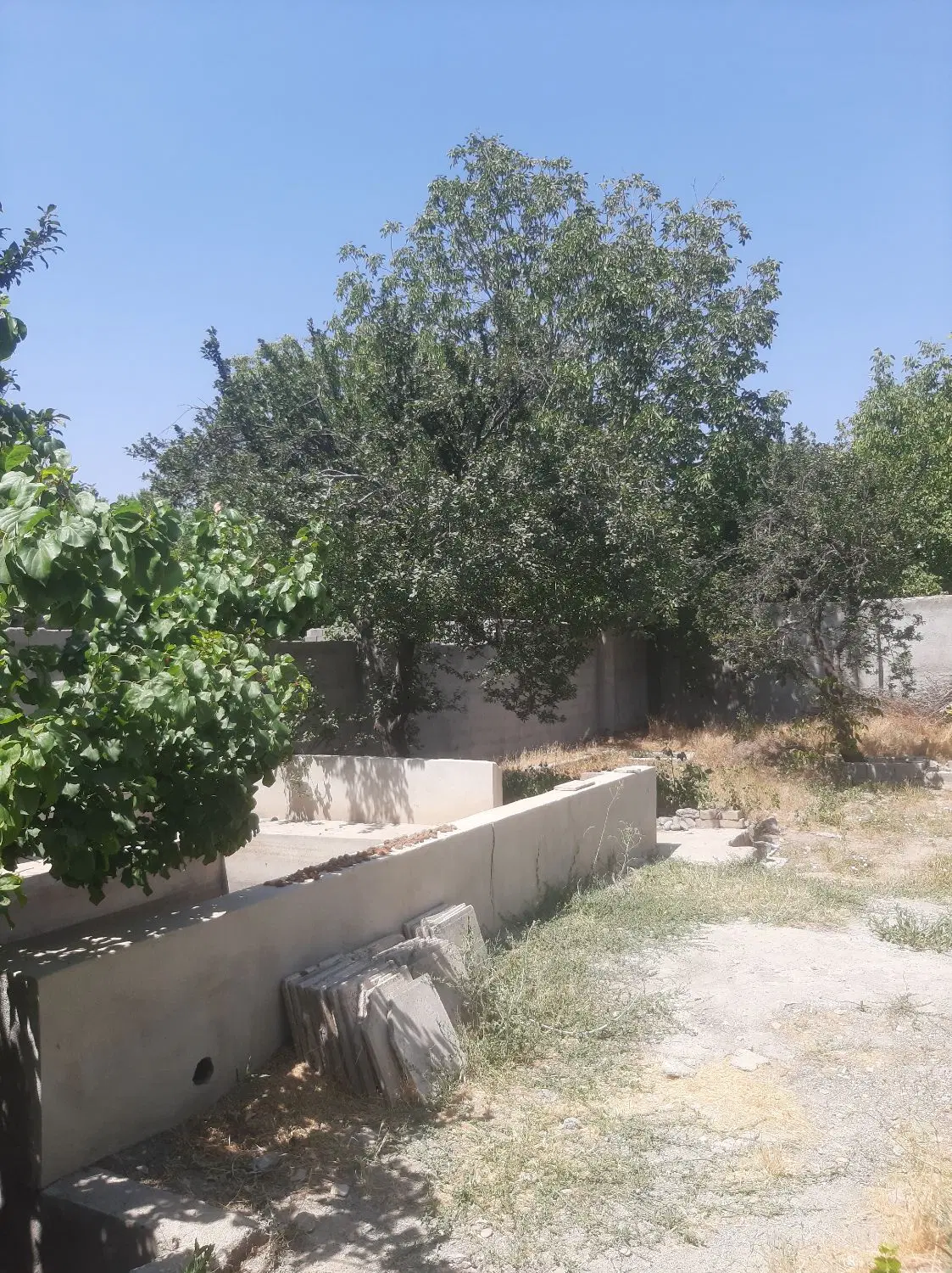باغ ۷۰۰ متری سند تک برگ لم آباد
