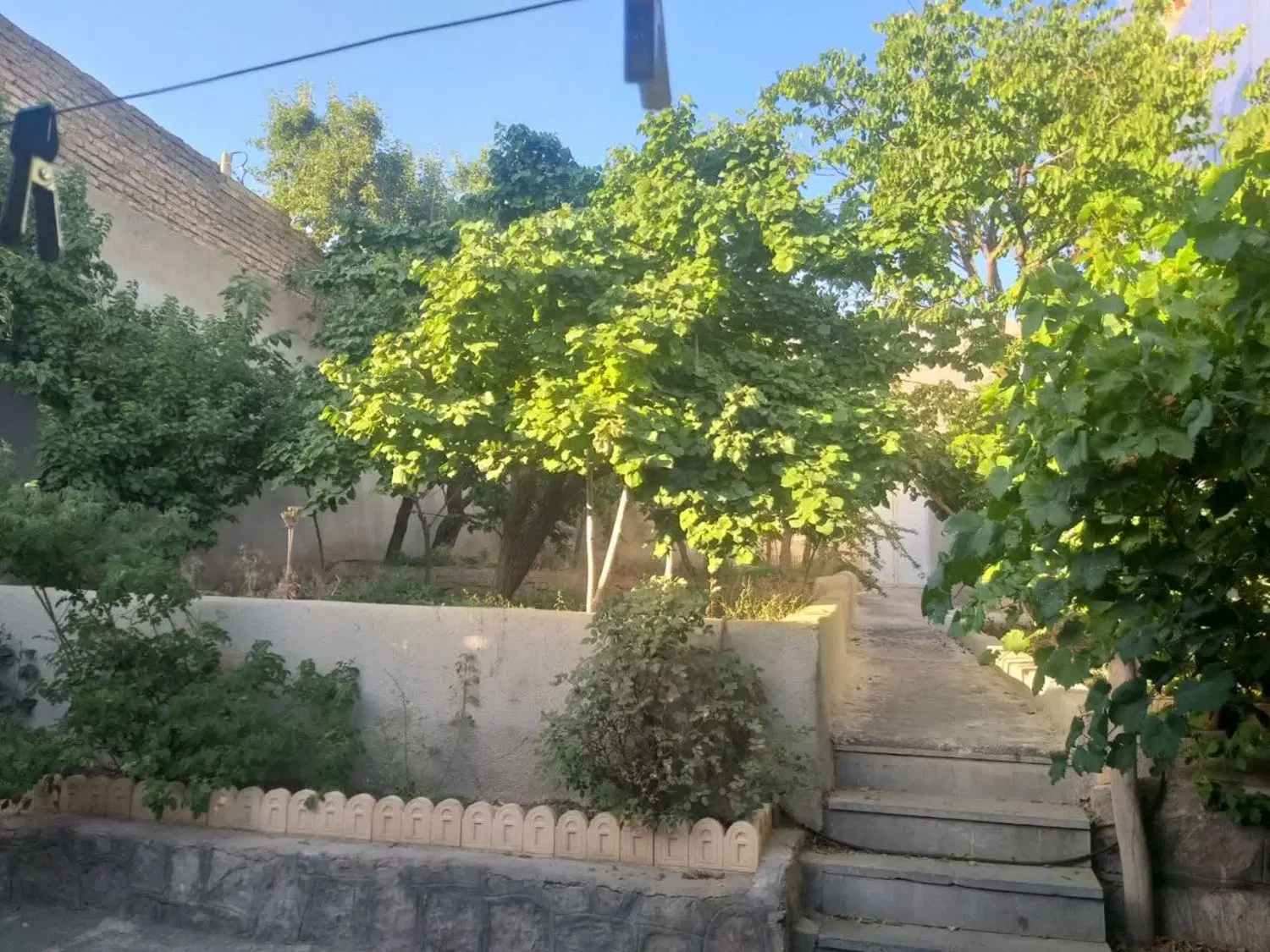 خونه باغ