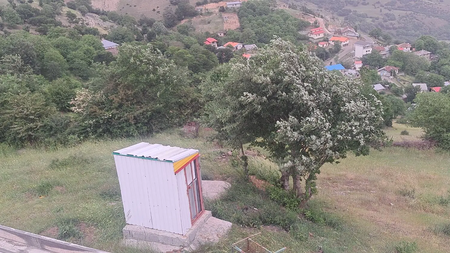 زمین باغی سند دار