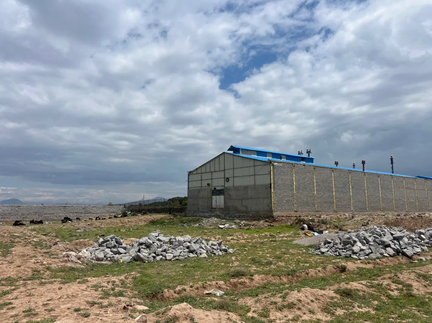 زمین صنعتی 333متر  کوجووار
