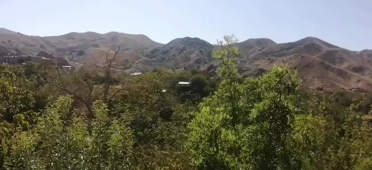 باغ بصورت شرایطی و معاوضه