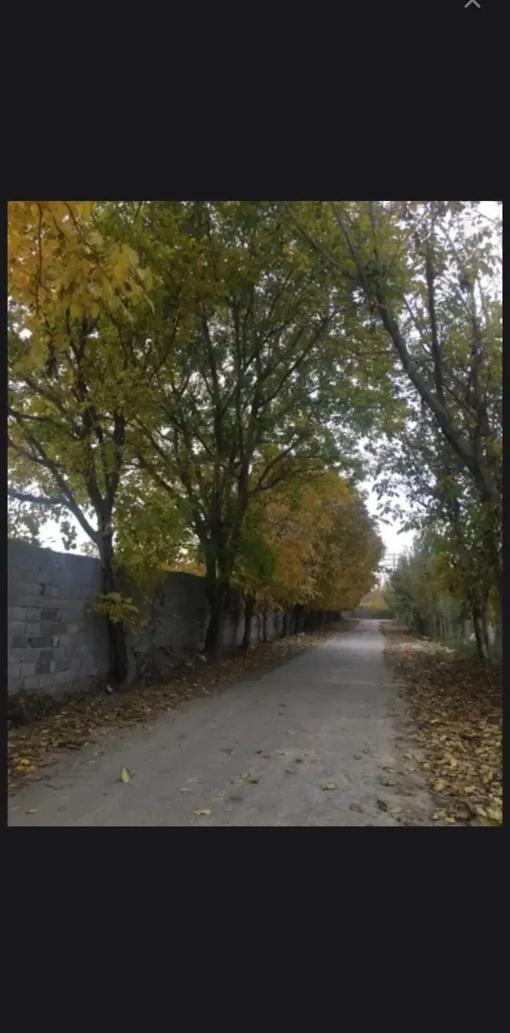 زمین ۳۵۰ متری سرم سازی