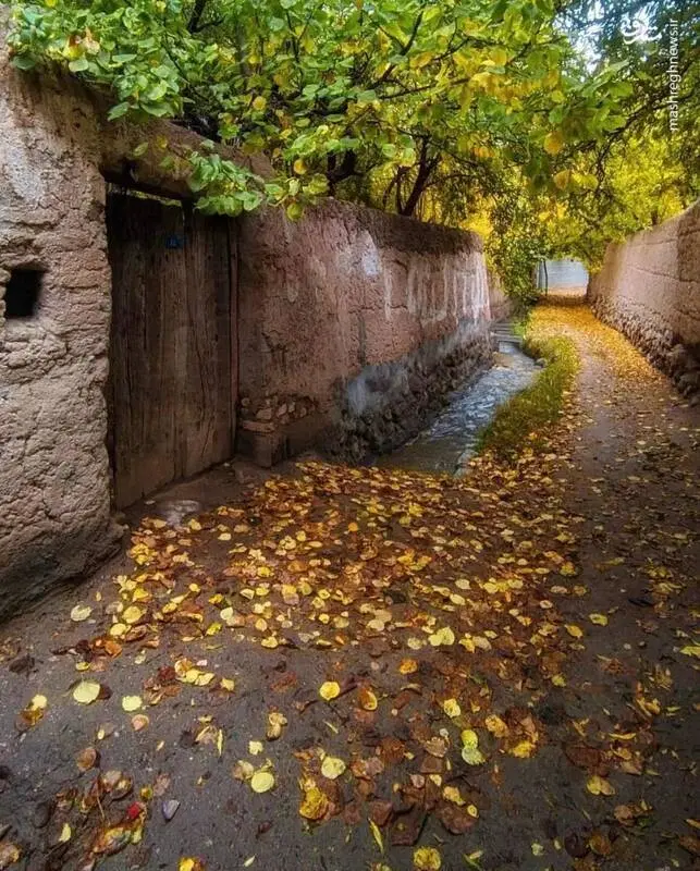 فروش زمین ۲۰۰ متری جنوبی با ۳ واحد نقشه پروانه