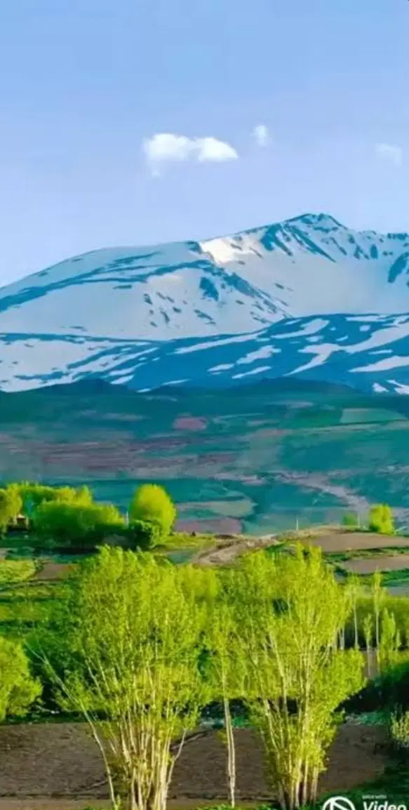 فروش یک قطعه زمین نارجو
