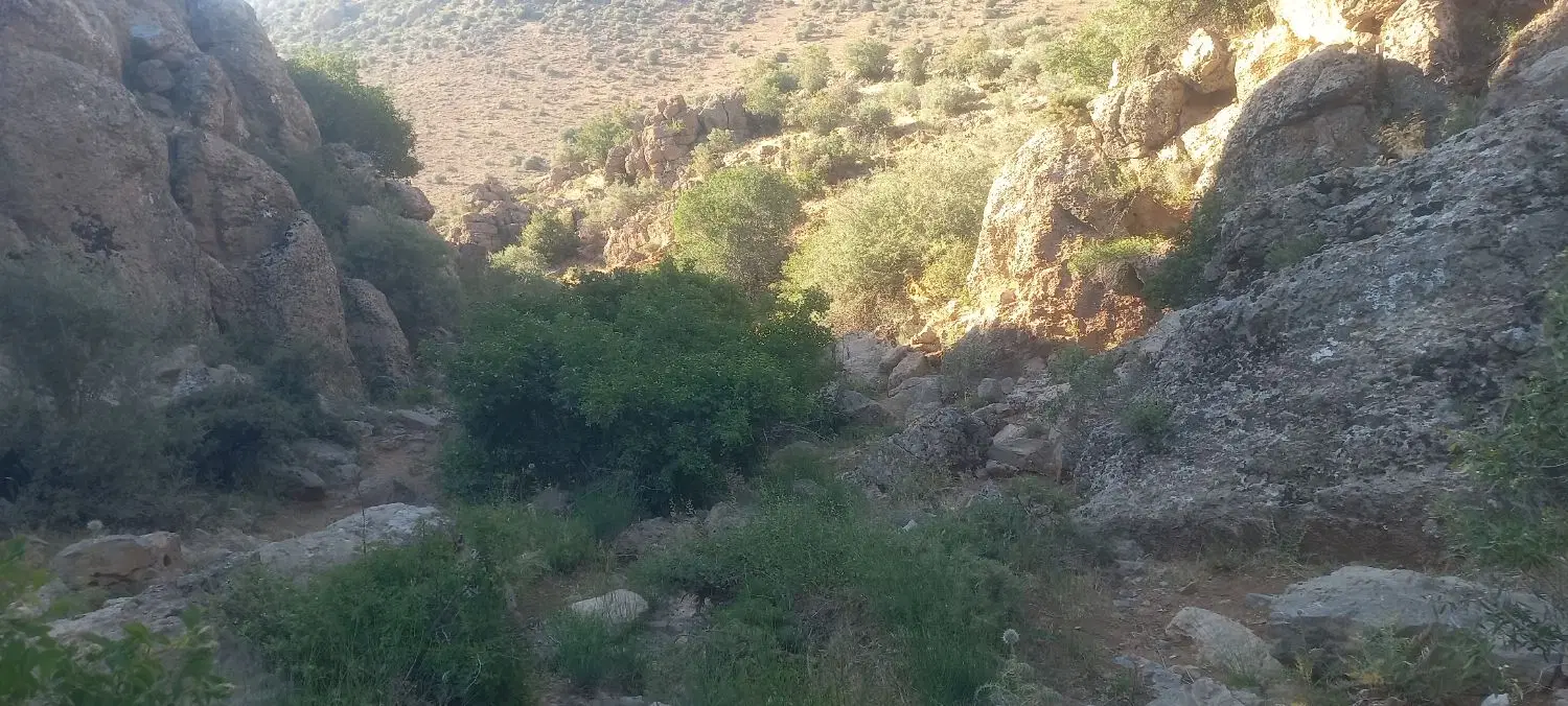 فروش زمین کشاورزی مرغوب