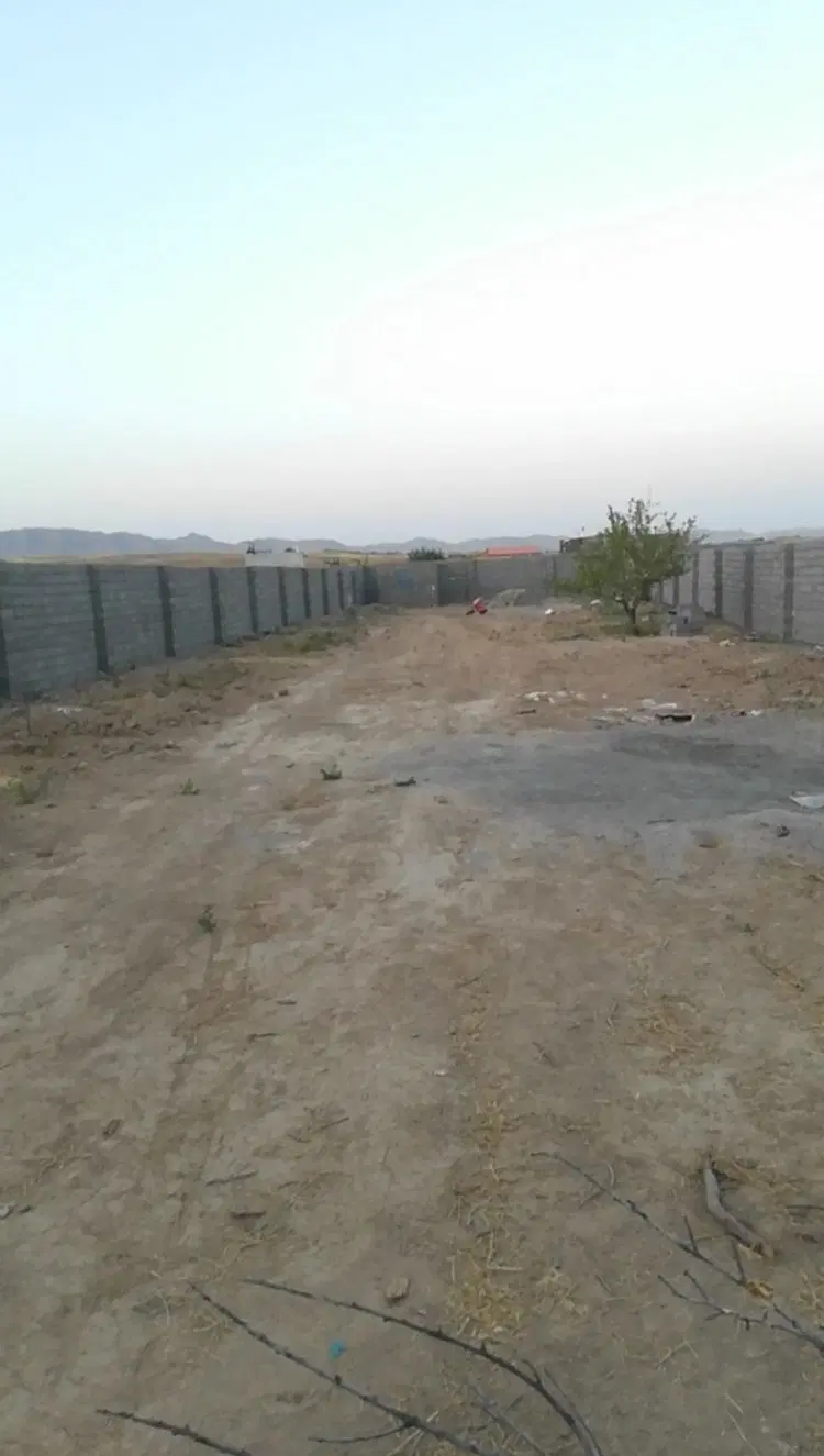 زمین باغی