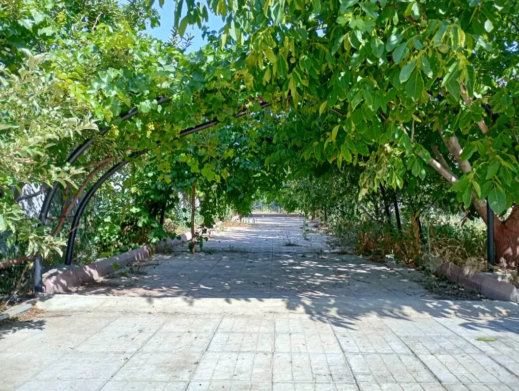 زمین باغشهری ۱۰۰۰ متری چسبیده کودیان