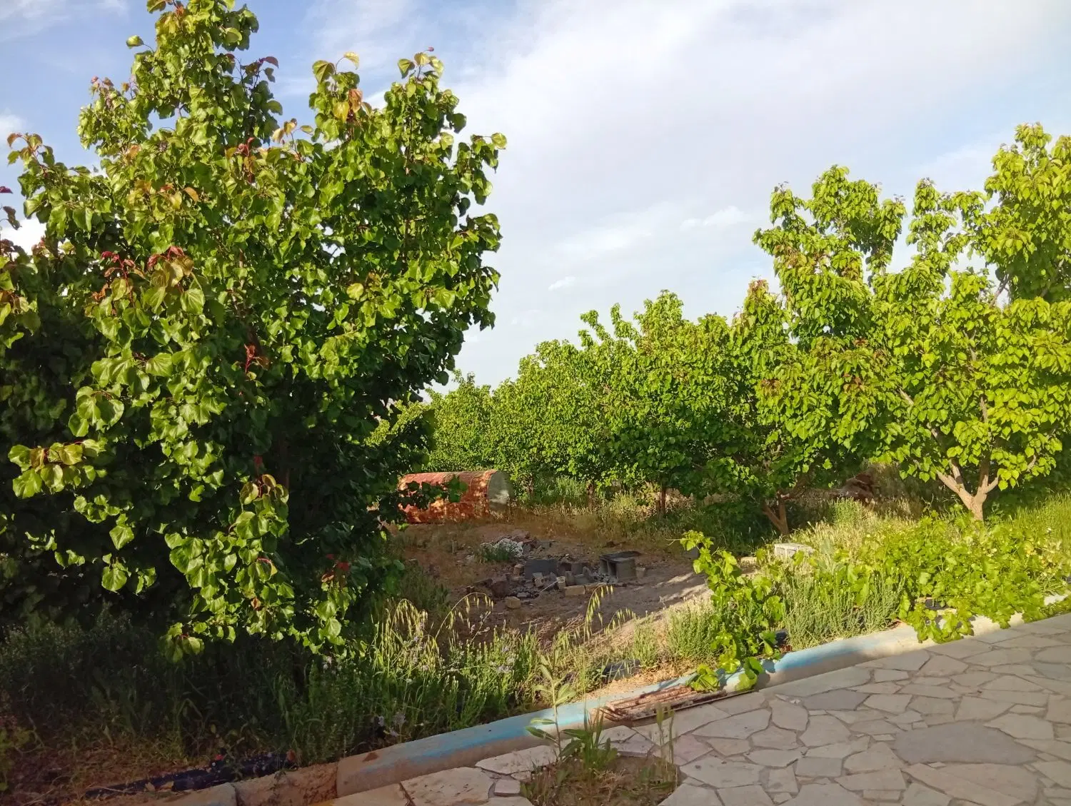 فروش باغ روستای فیروزی