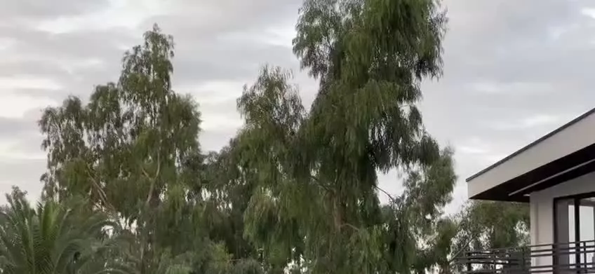 رهن واجاره ویلا ساحلی