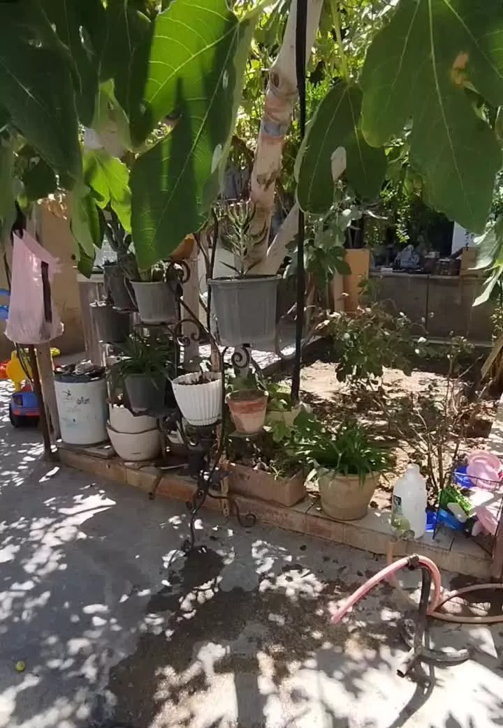 خونه قدریمی سمنان شهرستان سرخه