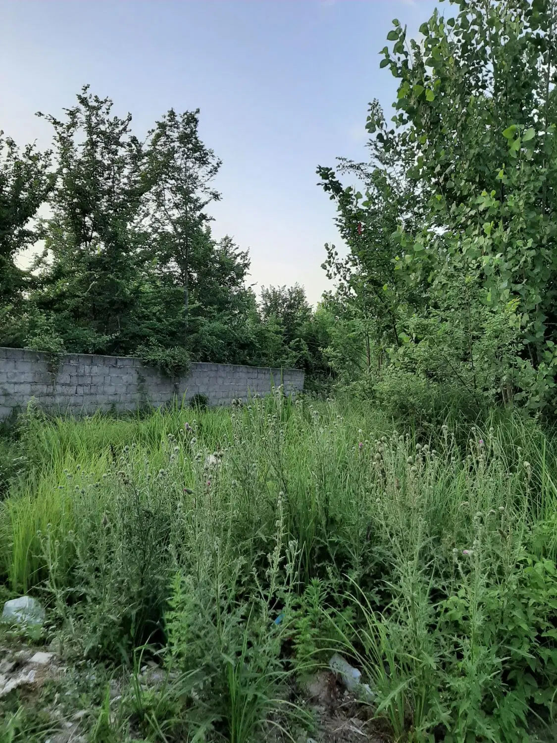 زمین