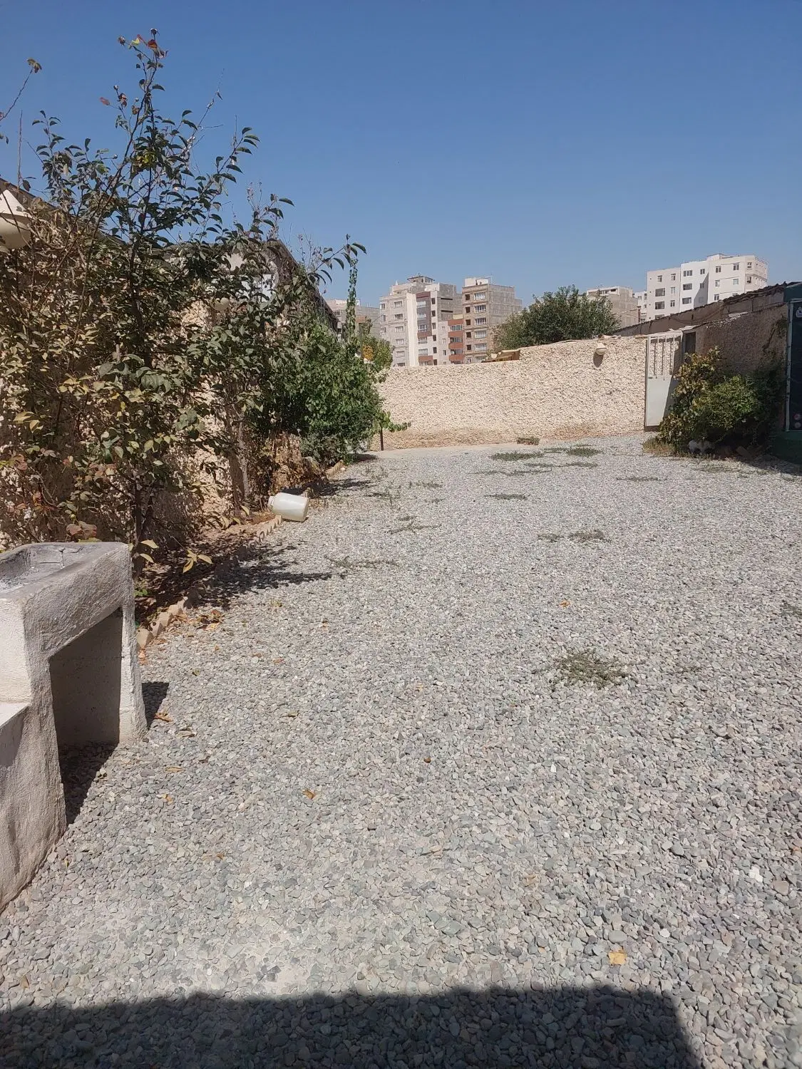 اجاره پانسیون سگ