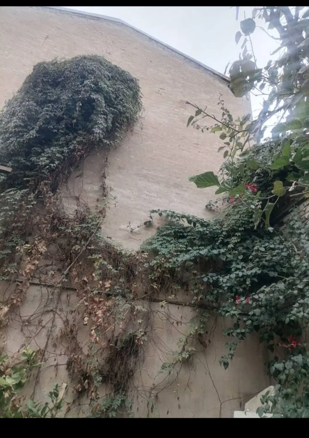 فروش خانه