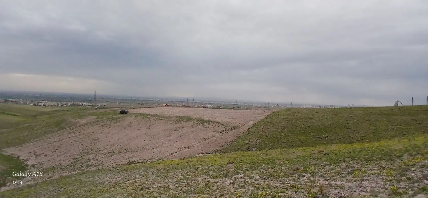 زمین باغی