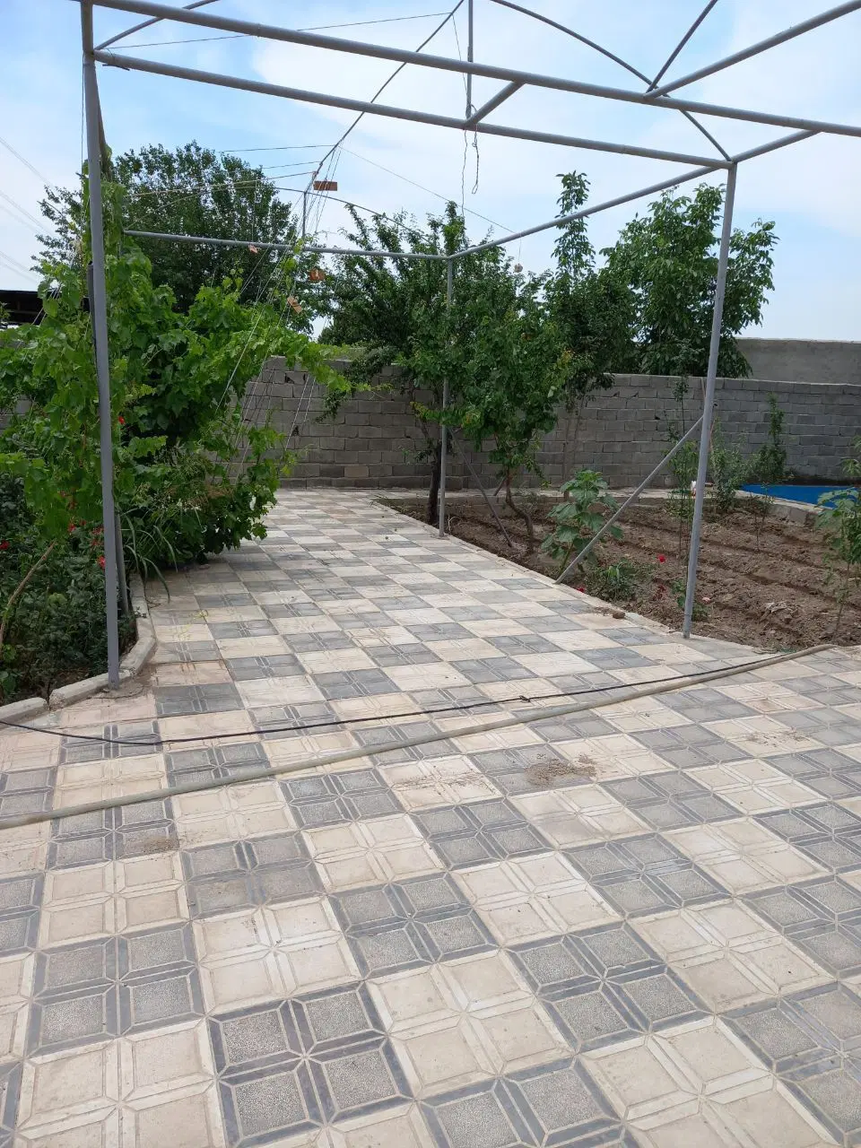 تهاطر و فروش باغ