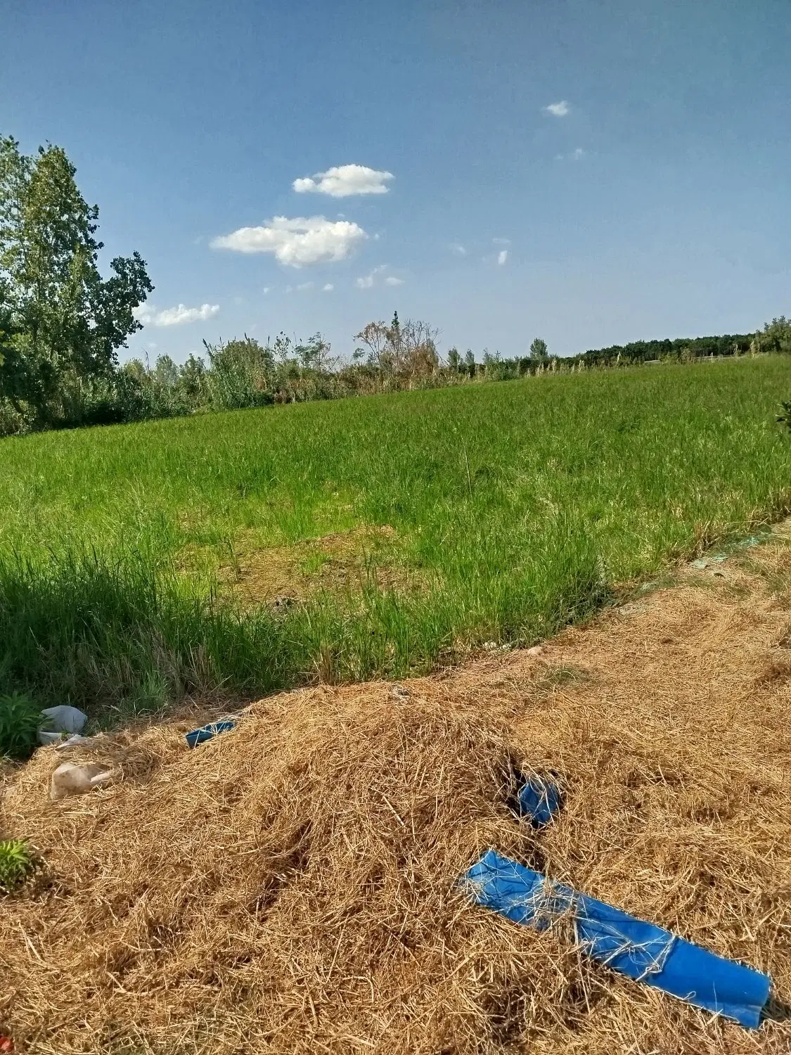۲۳۰۰ متر زمین کشاوری کنار چشمه