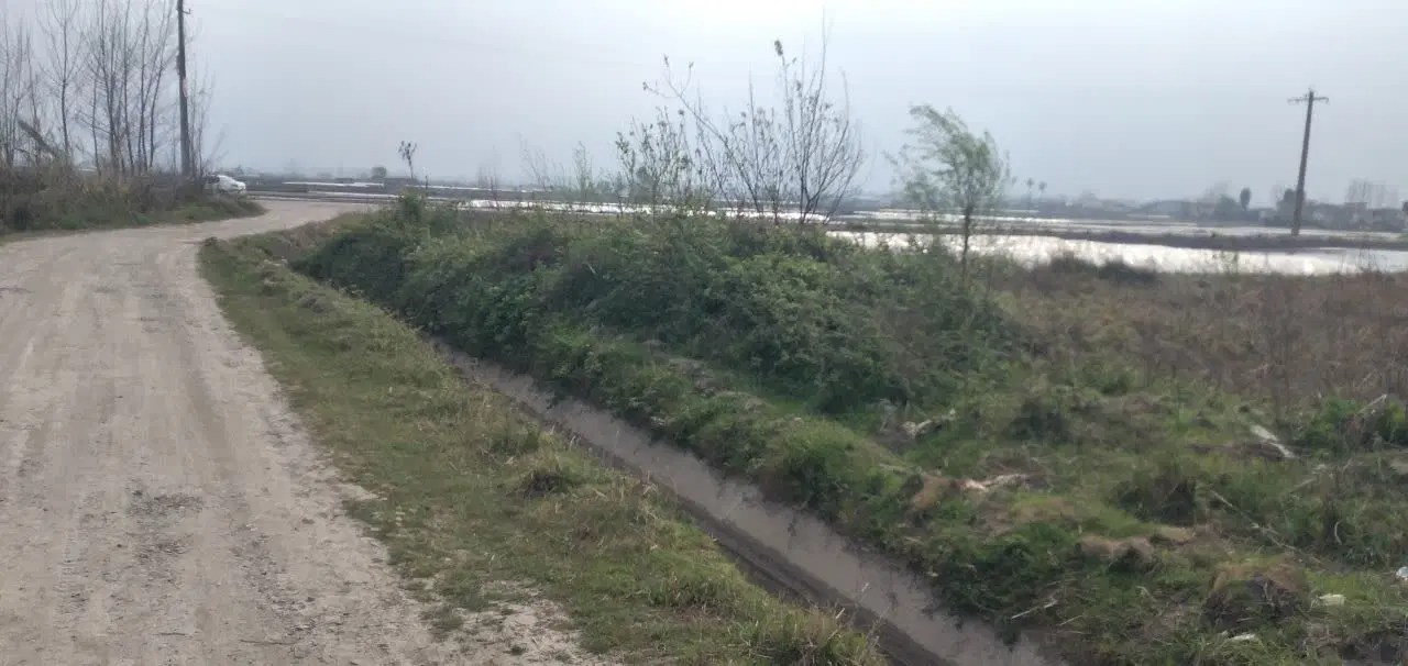 واقع در جاده کلوده محموداباد  مناسب برای باغ