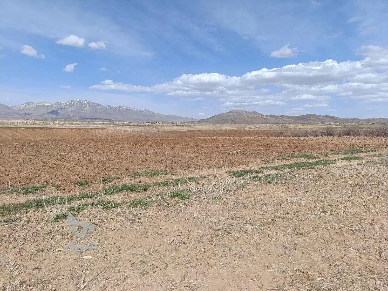زمین مناسب باغ