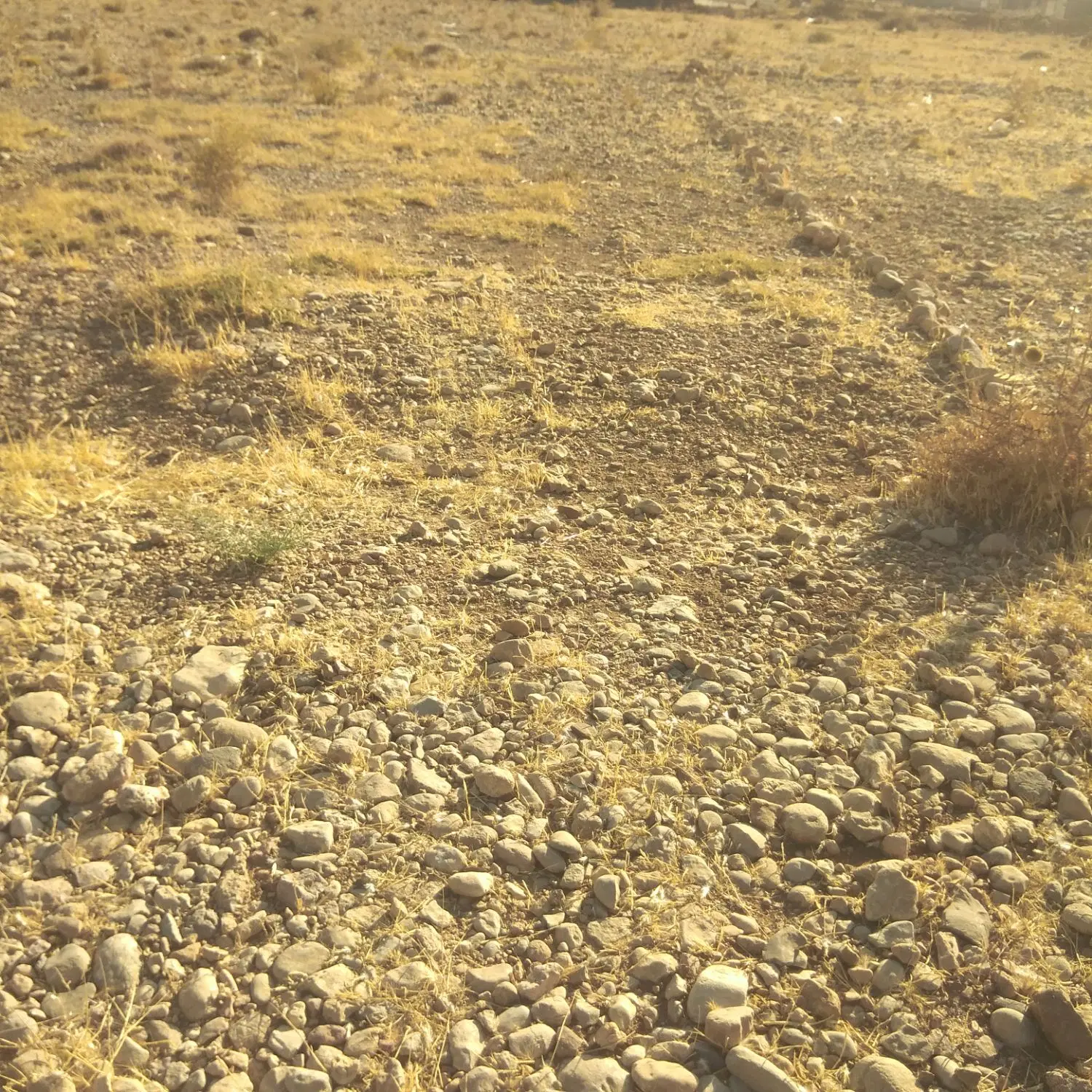 زمین مسکونی کلستان