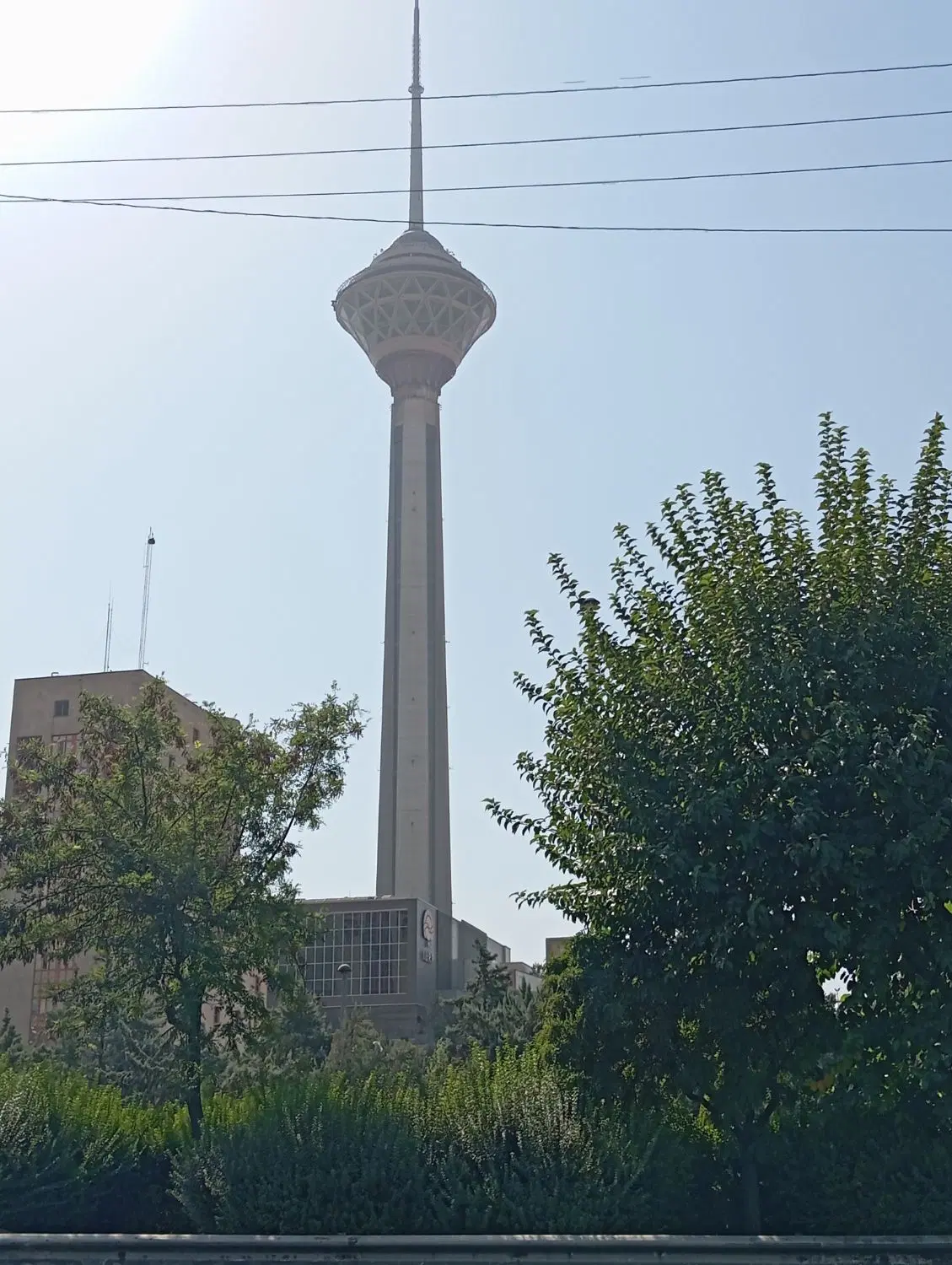 همخونه