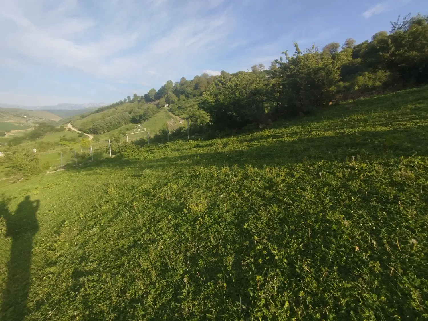 زمین کشاورزی باغی