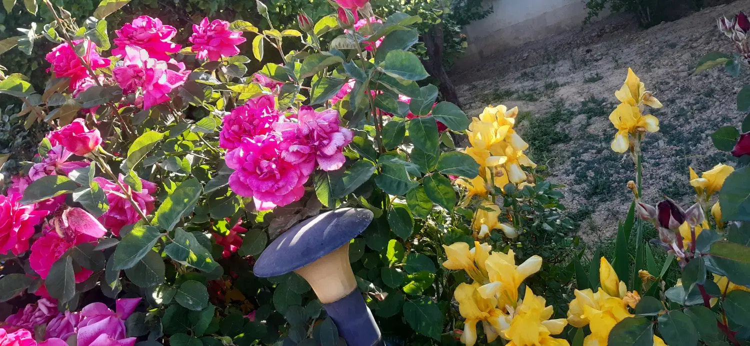 باغ چهاردیواری برکان کروه