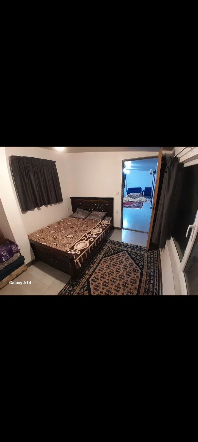 سوئیت جنگلی