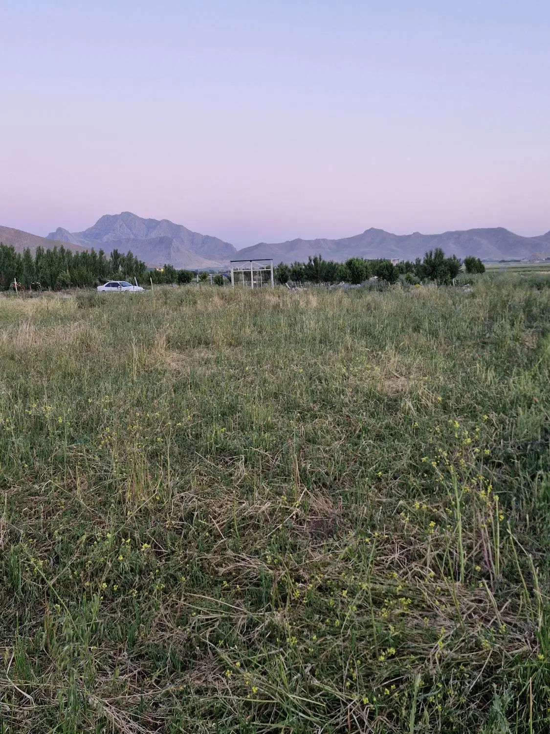 زمین 1500متری داخل مجموعه