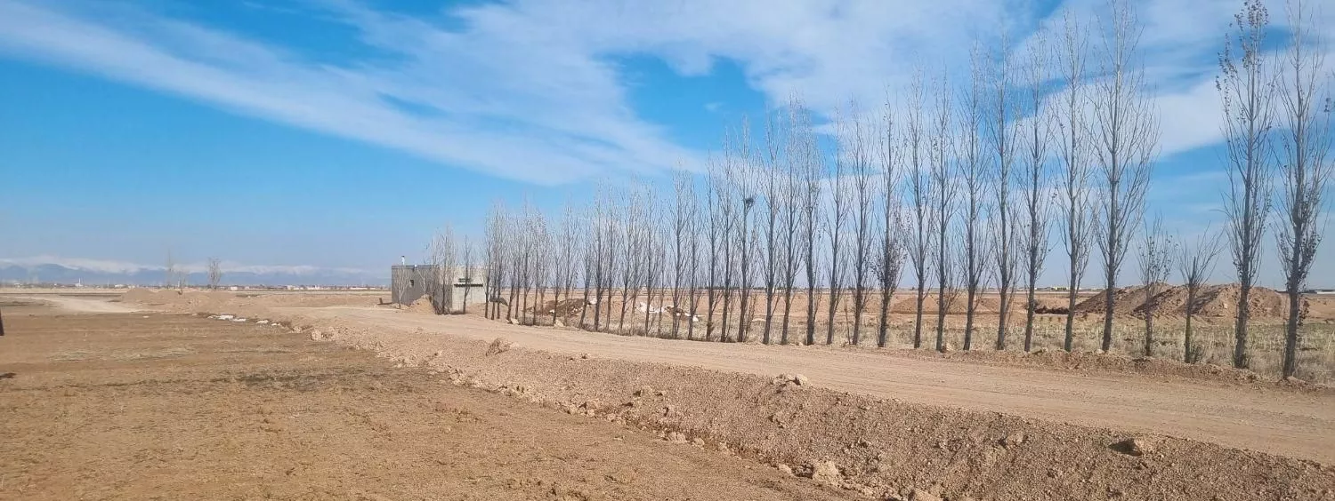 فروش ۱ هکتار زمین کشاورزی همجوار مجتمع کشت و صنعت