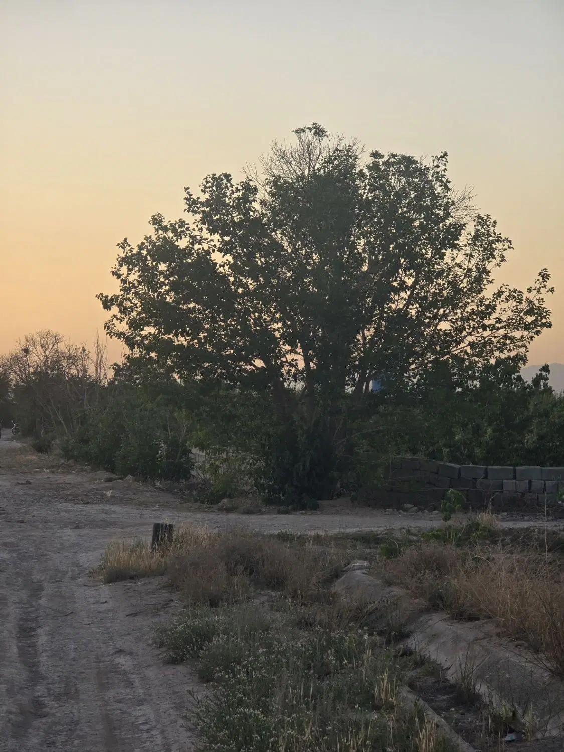زمین سنددار ۳۰۰متری