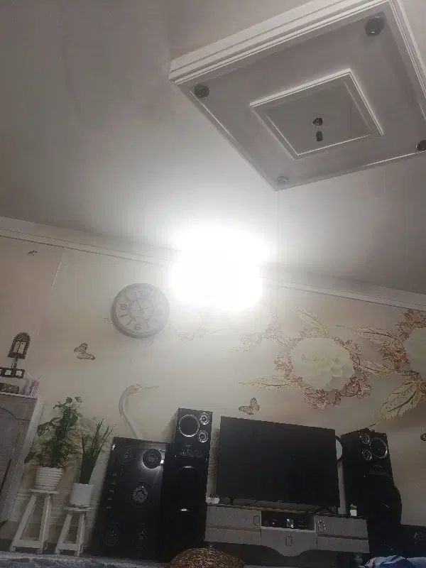 همخونه