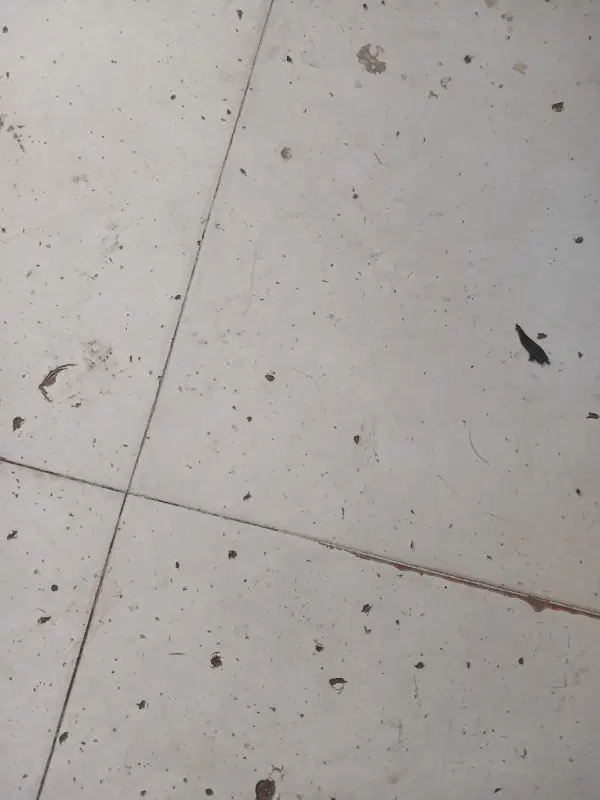 اجاره مغازه