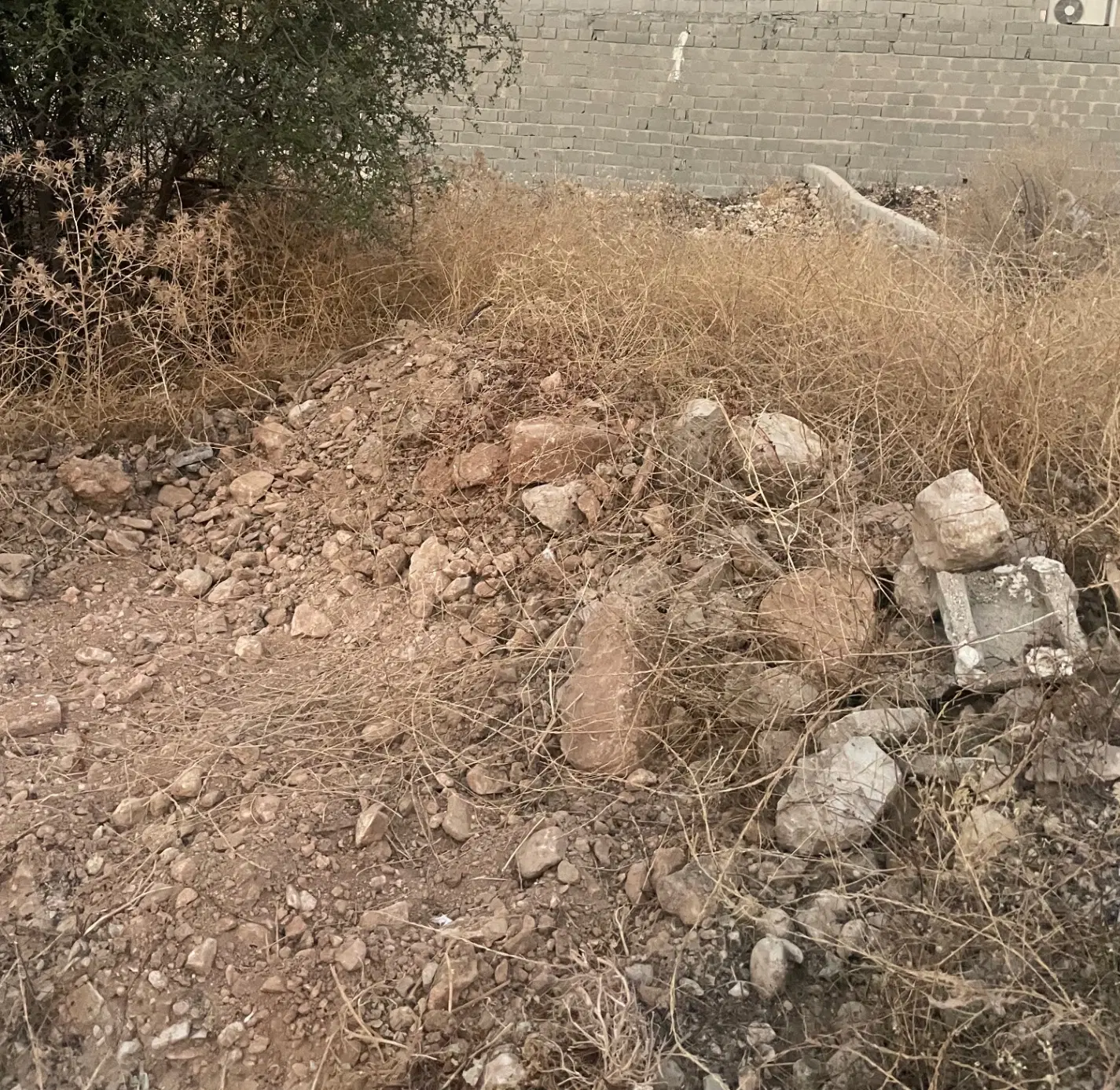 زمین مسکونی علی اباد