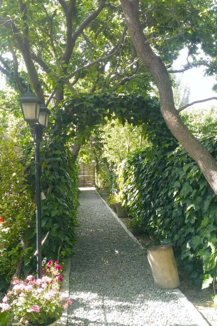 زمین مسکونی