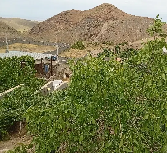 زمین به متراژ 370متر با بر 14