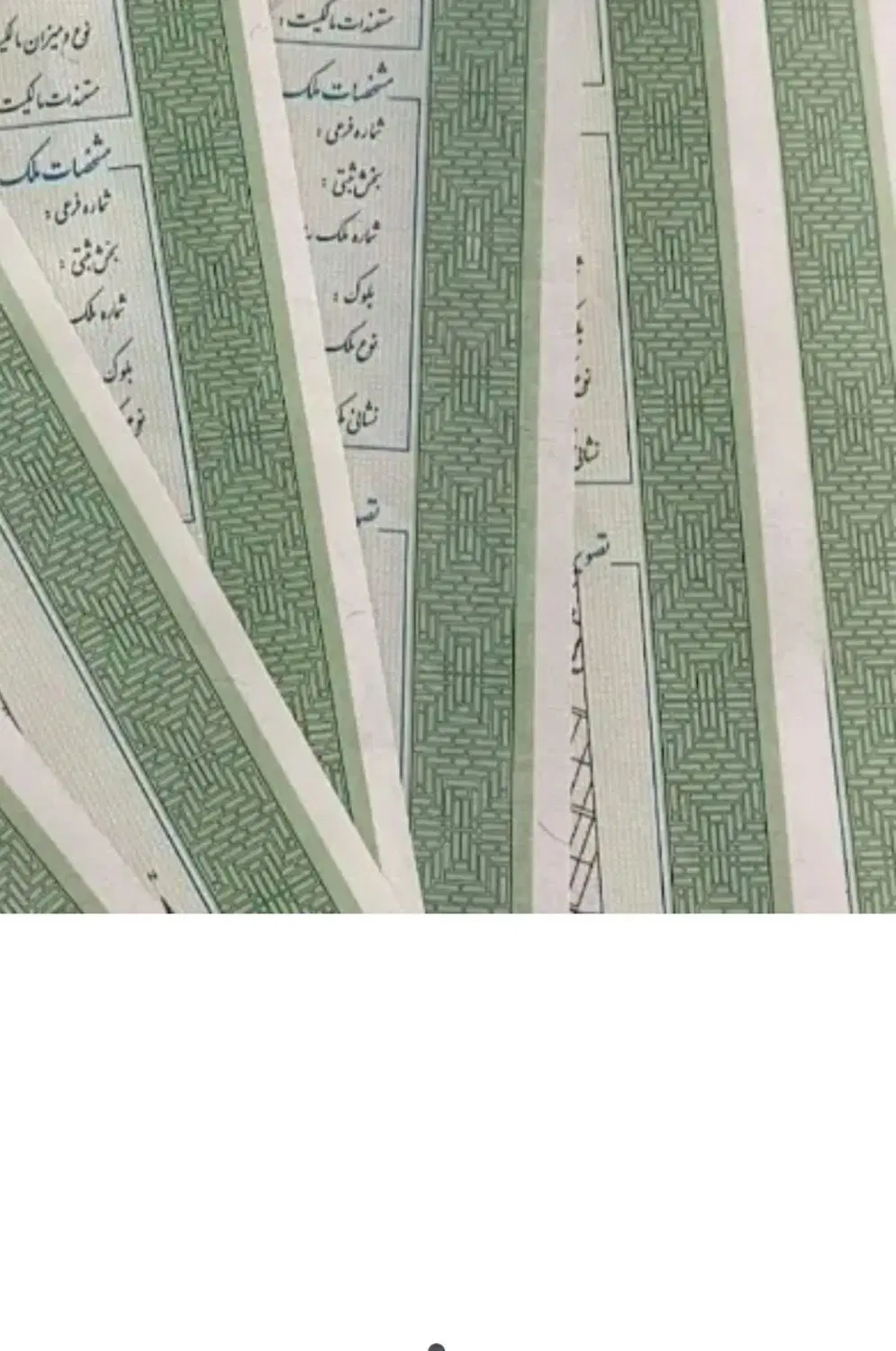 زمین مشاع گویم
