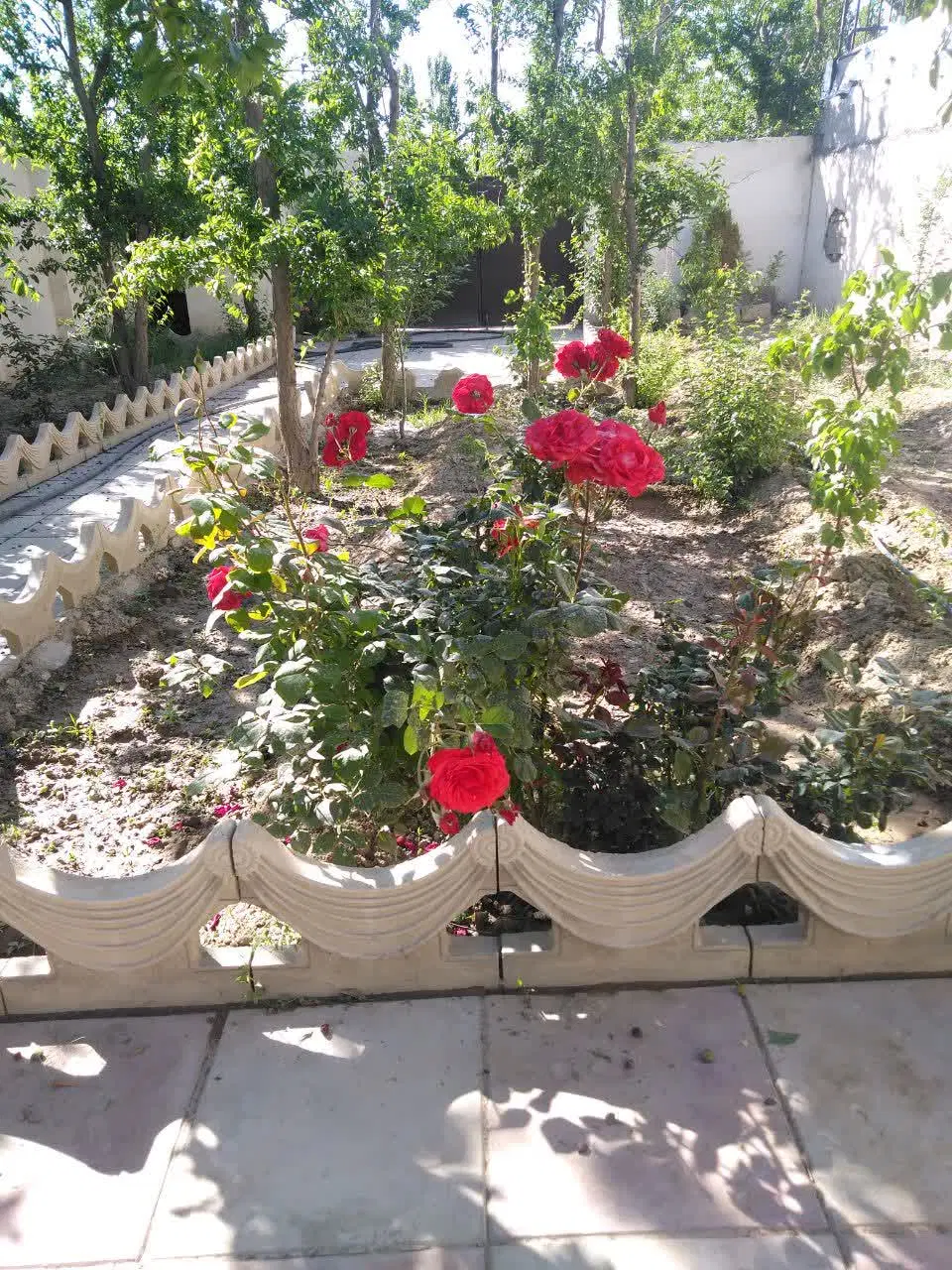 فروش ویلای 251متری در روستای قاسم آباد اقا