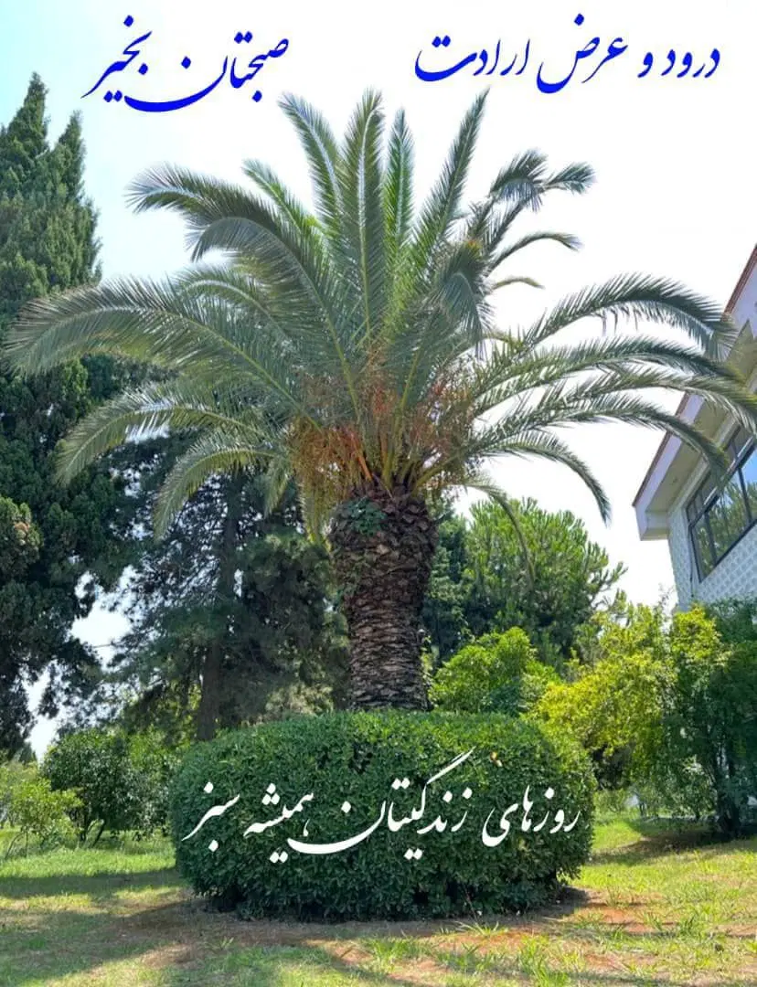رهن کامل مغازه داخل پاساژ زندیه صدرا